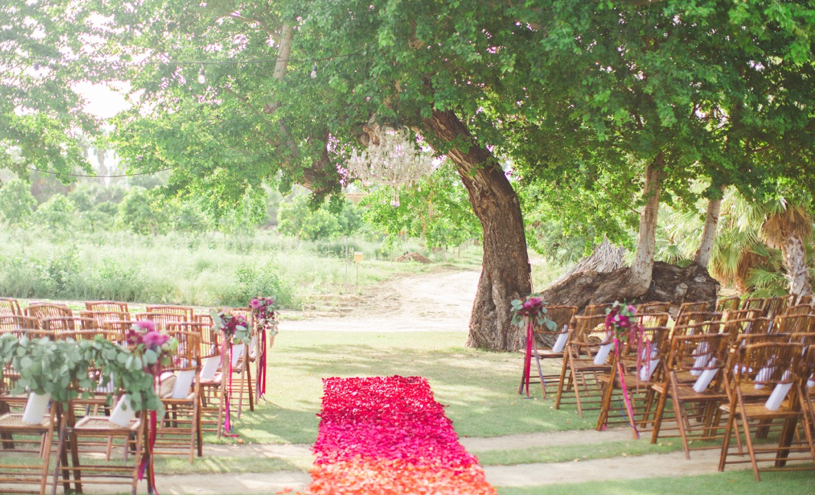 Wedding Ceremony at the Mango Frove, Flora Farms